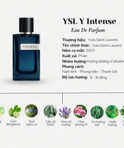 YSL Y Intense+1